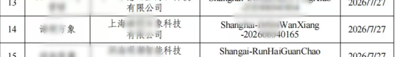 部分大模型备案公开条目的匿名化原始凭证 2